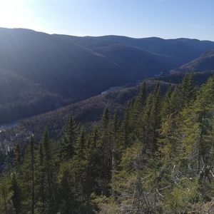 Meet your Posher, Cyril